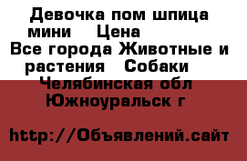 Девочка пом шпица мини  › Цена ­ 30 000 - Все города Животные и растения » Собаки   . Челябинская обл.,Южноуральск г.